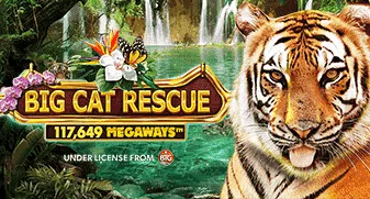 Big Cat Rescue Megaways game tile