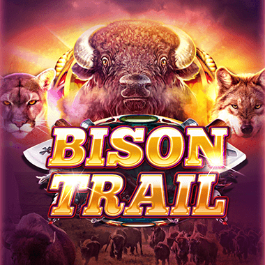 Bison Trail - Platipus