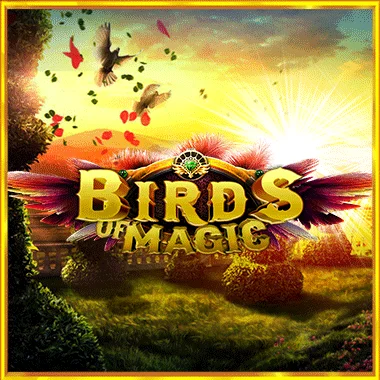 playreels/birdsofmagic