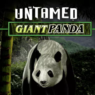 quickfire/MGS_Untamed_Giant_Panda