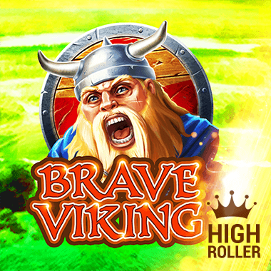 softswiss/BraveVikingHR