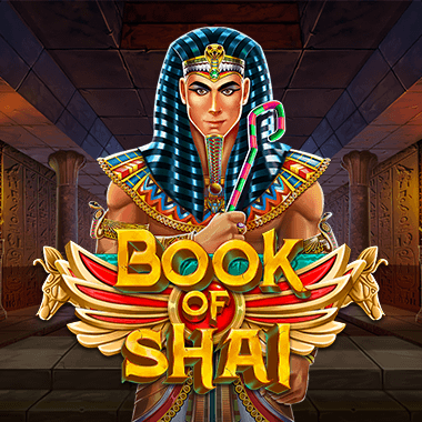 swintt/BookofShai