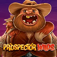 Prospector Wilds game tile