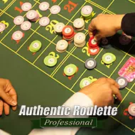 authentic/saintvincent_professional