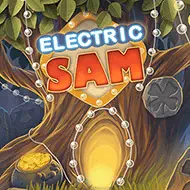 nyx/ElectricSam