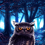 nyx/OwlEyes