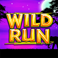 nyx/WildRun