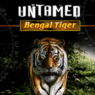 quickfire/MGS_UNTAMED_BENGAL_TIGER