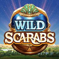 quickfire/MGS_WildScarabs
