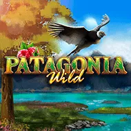 Patagonia Wilds game tile