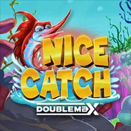 Nice Catch DoubleMax game tile