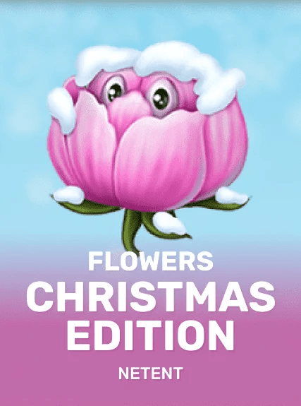 Flowers Christmas Edition