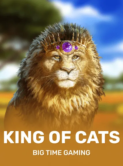 King of Cats (bigtimegaming)