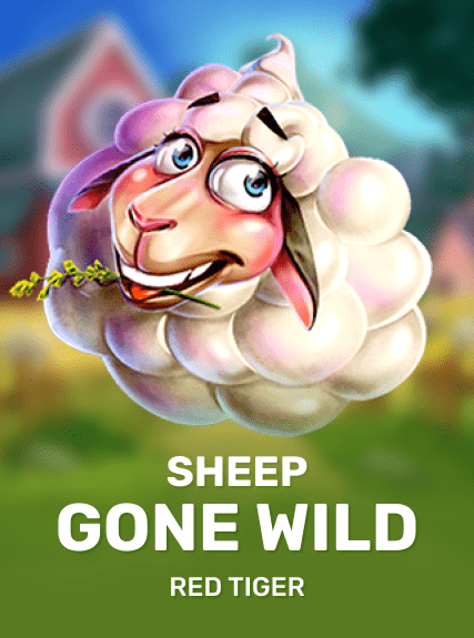 Sheep Gone Wild