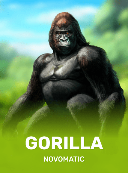 Gorilla