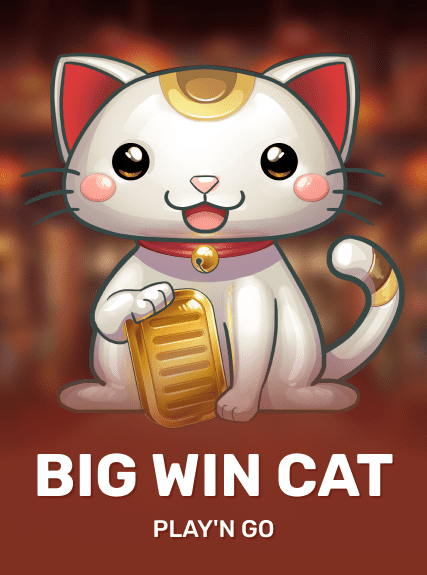 Big Win Cat
