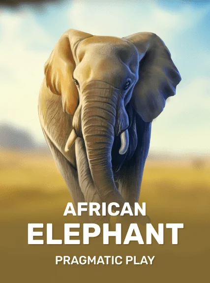 African Elephant (pragmaticslots)
