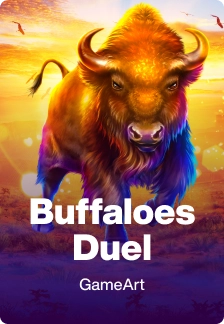 Buffaloes Duel