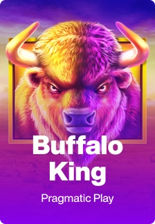 Buffalo King