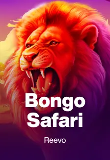 Bongo Safari