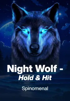 Night Wolf - Hold & Hit