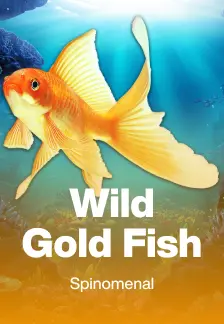 Wild Gold Fish