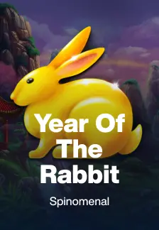 Year Of The Rabbit