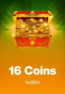 16 Coins