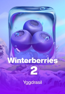 Winterberries 2