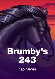 Brumby's 243
