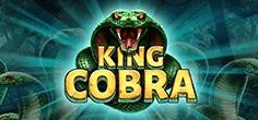 booming/KingCobra