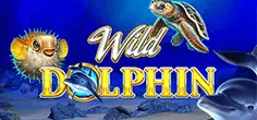 gameart/WildDolphin