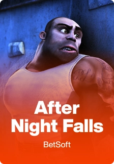 After Night Falls game tile