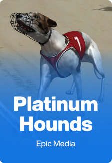 Platinum Hounds game tile