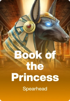 Book of the Princess game tile