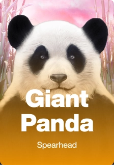 Giant Panda