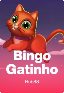 Bingo Gatinho
