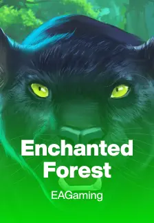 Enchanted Forest