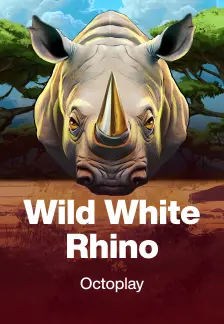 Wild White Rhino