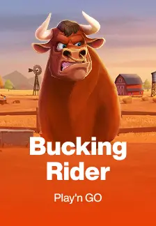 Bucking Rider
