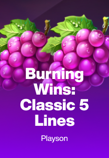Burning Wins: classic 5 lines game tile