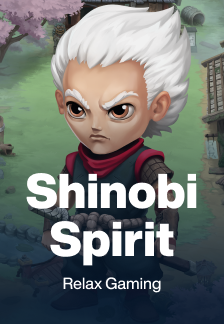 Shinobi Spirit