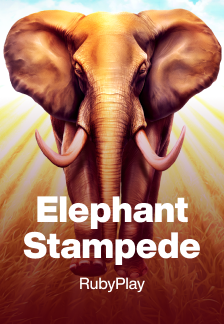 Elephant Stampede