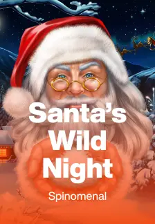 Santa’s Wild Night