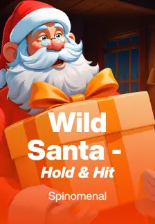 Wild Santa - Hold & Hit