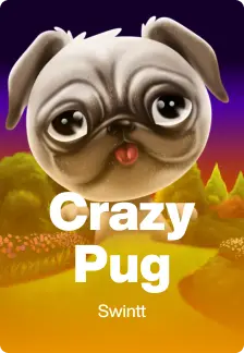 Crazy Pug