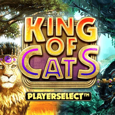 quickfire/MGS_kingofCatsDesktop