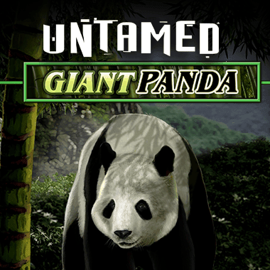 quickfire/MGS_Untamed_Giant_Panda