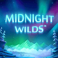 playtech/MidnightWilds