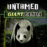quickfire/MGS_Untamed_Giant_Panda